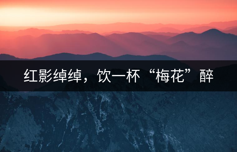 紅影綽綽，飲一杯“梅花”醉
