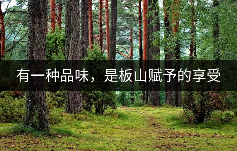 有一種品味，是板山賦予的享受