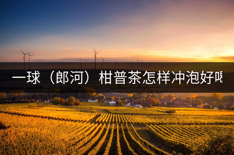 一球（郎河）柑普茶怎樣沖泡好喝？