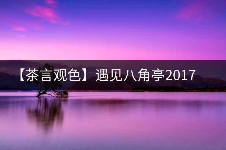 【茶言觀(guān)色】遇見(jiàn)八角亭2017年里程碑熟茶