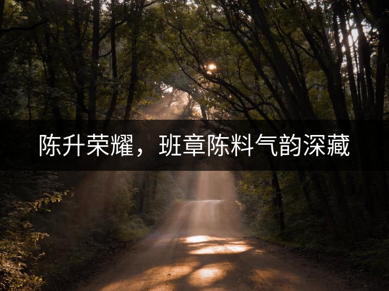 陳升榮耀，班章陳料氣韻深藏