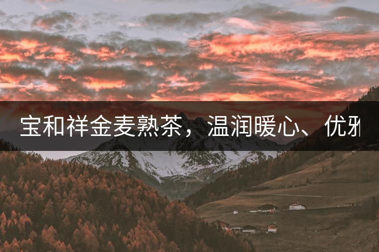 寶和祥金麥熟茶，溫潤暖心、優(yōu)雅迷人。