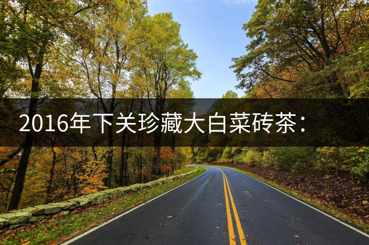 2016年下關珍藏大白菜磚茶：不一樣的班章茶韻