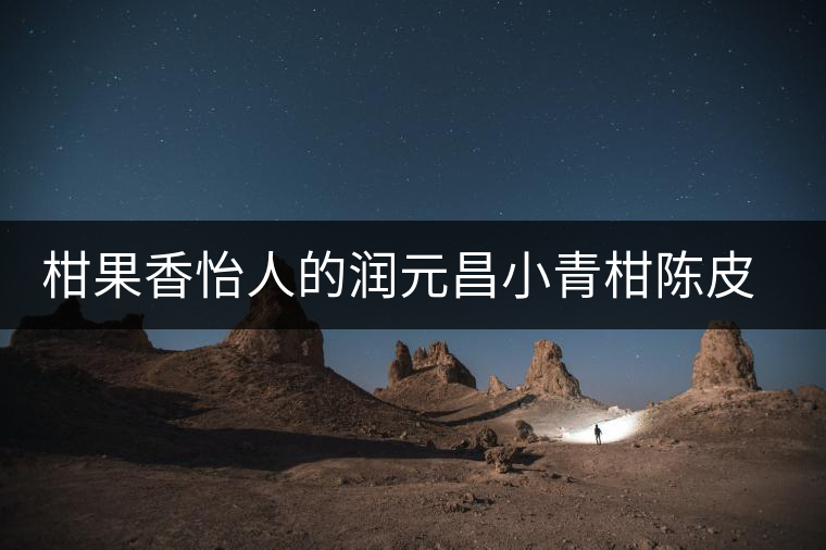 柑果香怡人的潤元昌小青柑陳皮普洱