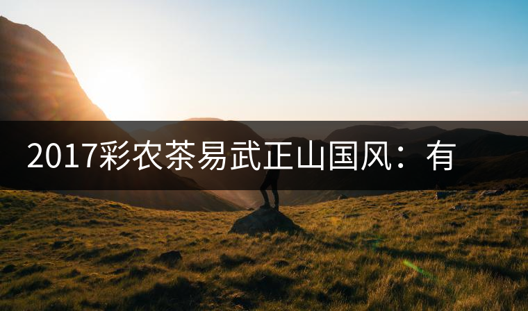 2017彩農(nóng)茶易武正山國風(fēng)：有茶韻，亦有國風(fēng)