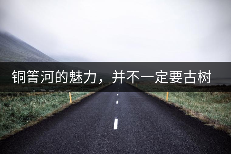 銅箐河的魅力，并不一定要古樹來體現(xiàn)