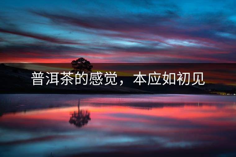 普洱茶的感覺(jué)，本應(yīng)如初見(jiàn)