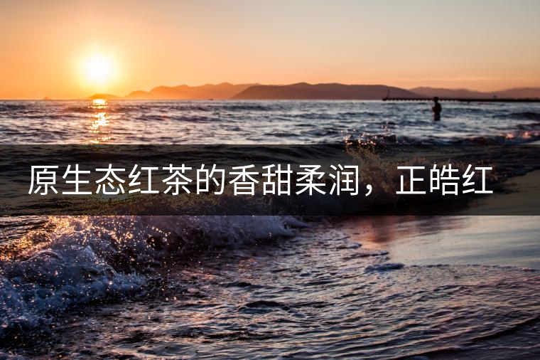 原生態(tài)紅茶的香甜柔潤，正皓紅的魅力無可抵擋！