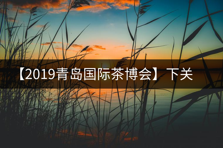 【2019青島國際茶博會】下關(guān)沱茶攜新品C位亮相！