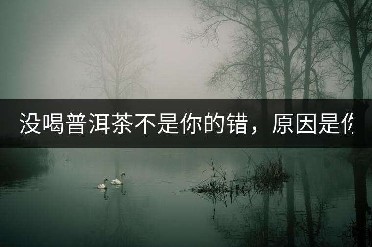 沒喝普洱茶不是你的錯(cuò)，原因是你還沒遇到Y(jié)671與Y562