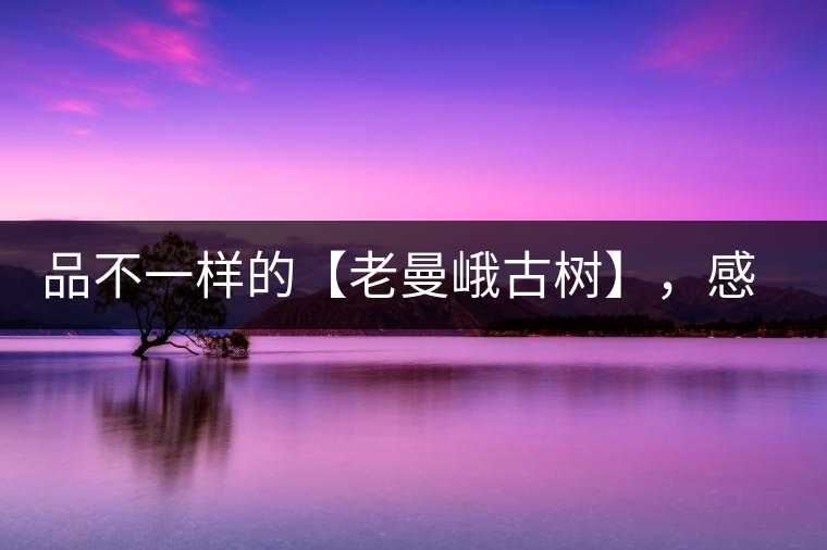 品不一樣的【老曼峨古樹】，感受別樣甘甜與溫婉
