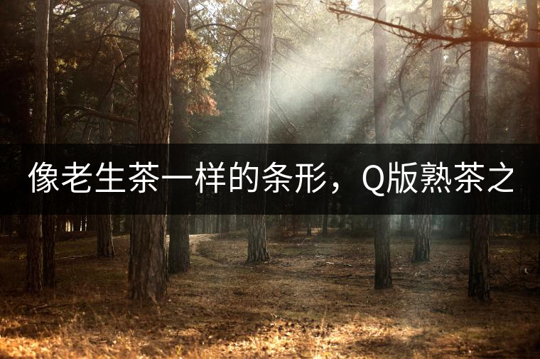 像老生茶一樣的條形，Q版熟茶之【融璞】
