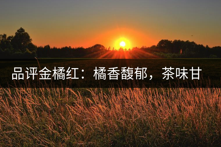 品評(píng)金橘紅：橘香馥郁，茶味甘醇，匠心拼配，臻于至善