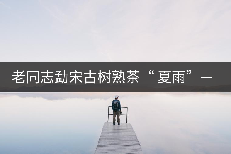 老同志勐宋古樹熟茶“ 夏雨”— 飲茶伴夏，只為您！