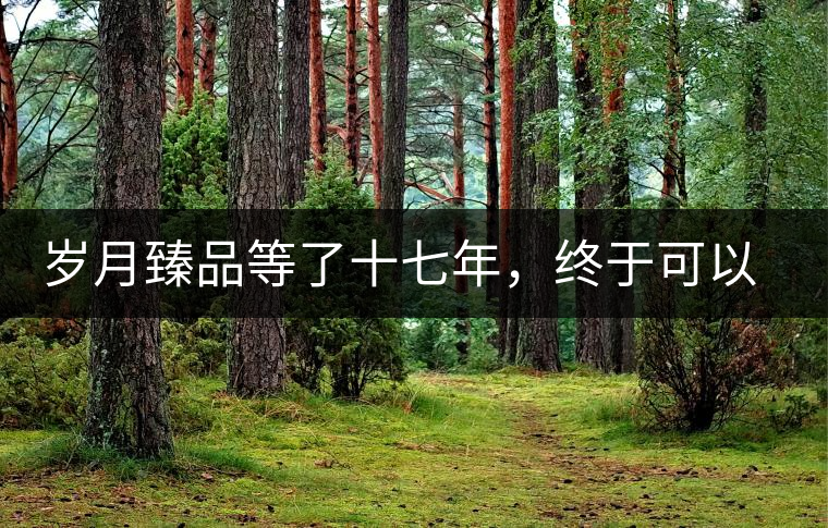 歲月臻品等了十七年，終于可以品味歲月