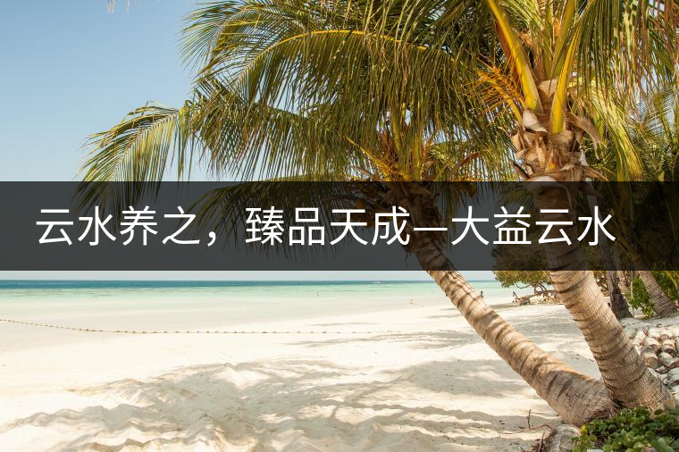 云水養(yǎng)之，臻品天成—大益云水臻開(kāi)湯