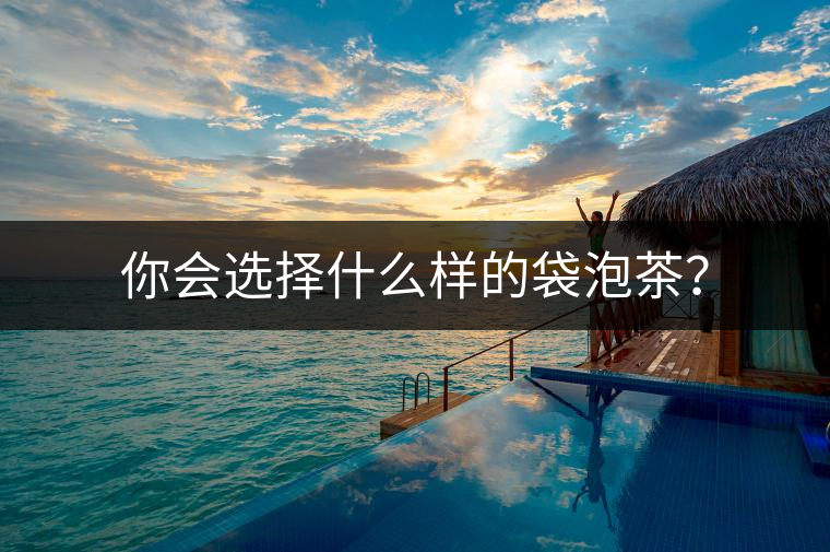 你會(huì)選擇什么樣的袋泡茶？