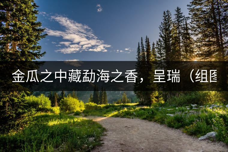 金瓜之中藏勐海之香，呈瑞（組圖）