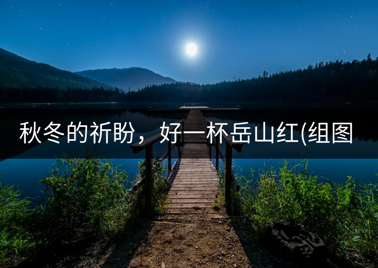 秋冬的祈盼，好一杯岳山紅(組圖)