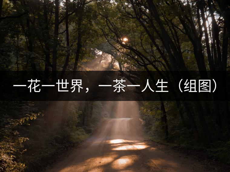 一花一世界，一茶一人生（組圖）