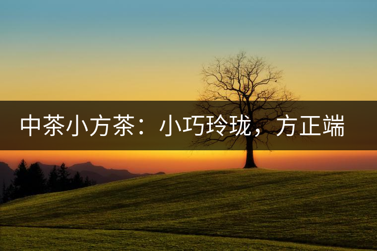 中茶小方茶：小巧玲瓏，方正端莊