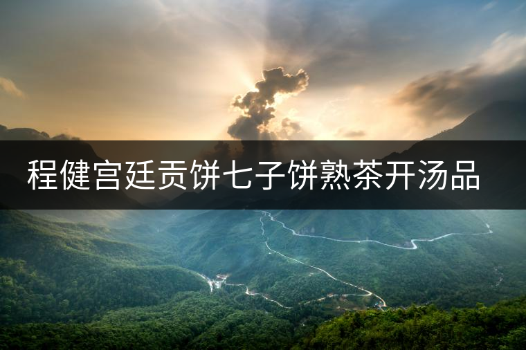 程健宮廷貢餅七子餅熟茶開湯品鑒 程健宮廷貢餅七子餅熟茶開湯品鑒