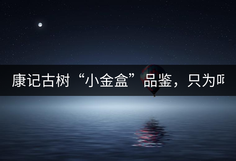 康記古樹(shù)“小金盒”品鑒，只為呵護(hù)您的味蕾！