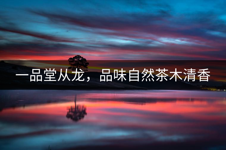 一品堂從龍，品味自然茶木清香