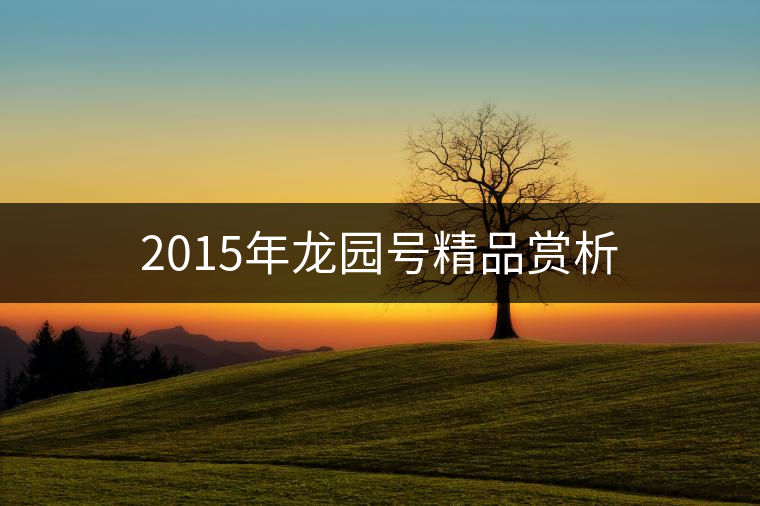 2015年龍園號精品賞析 2015年龍園號精品賞析