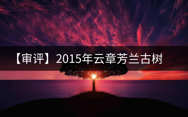 【審評(píng)】2015年云章芳蘭古樹純料（生茶）