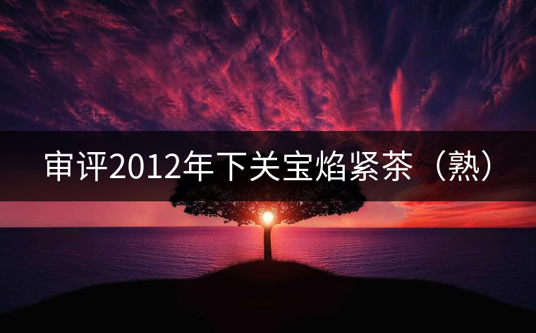 審評(píng)2012年下關(guān)寶焰緊茶(熟) 審評(píng)2012年下關(guān)寶焰緊茶(熟)