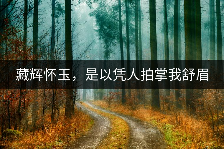 藏輝懷玉，是以憑人拍掌我舒眉