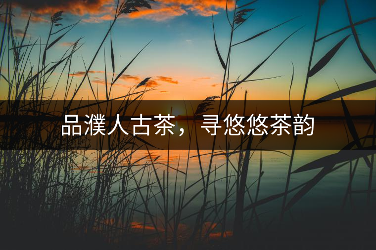 品濮人古茶，尋悠悠茶韻