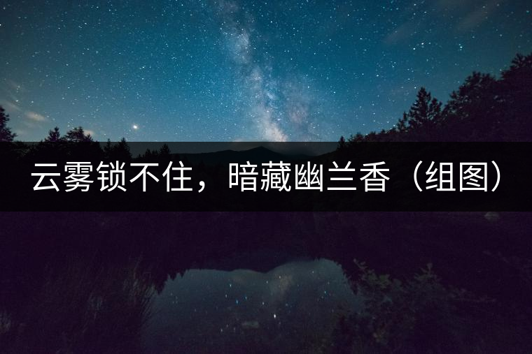 云霧鎖不住，暗藏幽蘭香（組圖）