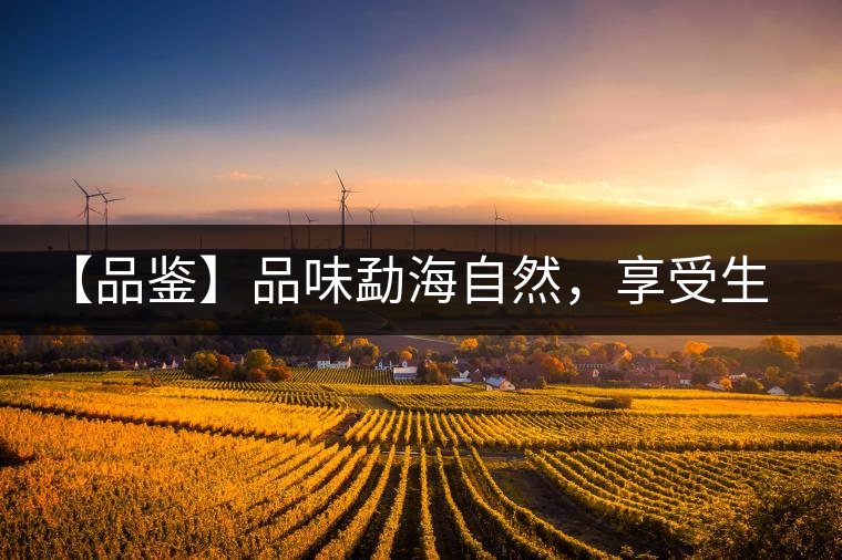 【品鑒】品味勐海自然，享受生活醇香