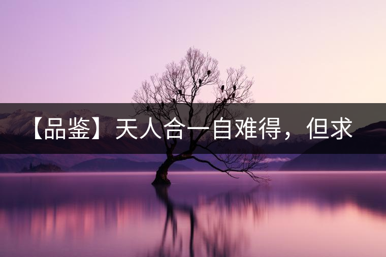 【品鑒】天人合一自難得，但求得茶之本味