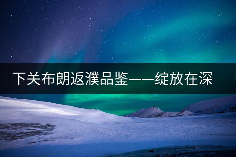 下關(guān)布朗返濮品鑒——綻放在深山里的純粹