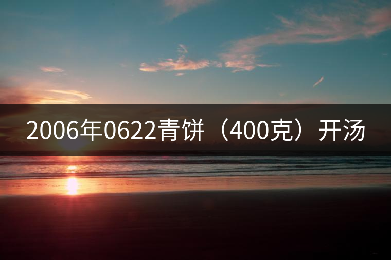 2006年0622青餅(400克)開(kāi)湯 2006年0622青餅(400克)開(kāi)湯