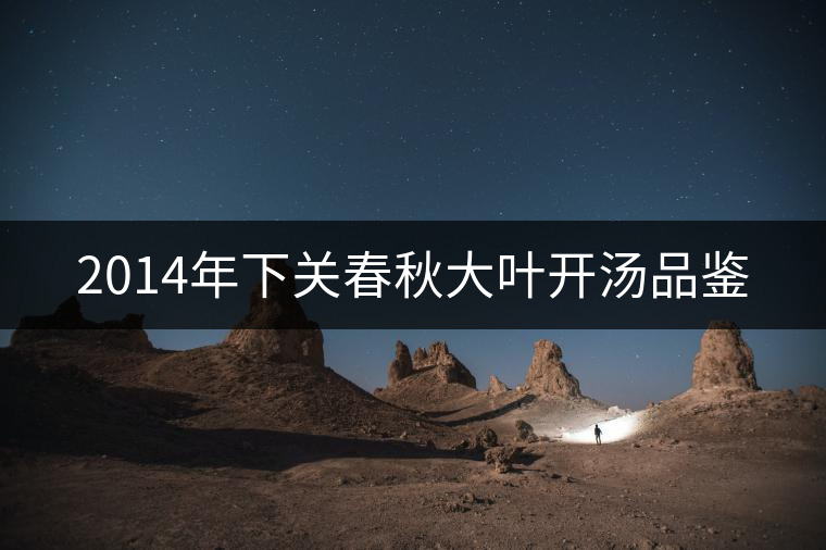 2014年下關春秋大葉開湯品鑒 2014年下關春秋大葉開湯品鑒