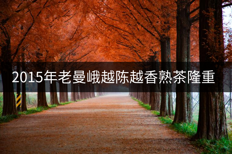 2015年老曼峨越陳越香熟茶隆重上市！