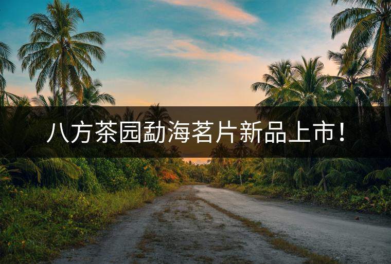 八方茶園勐海茗片新品上市！