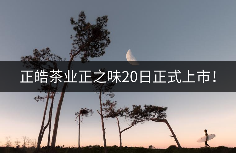 正皓茶業(yè)正之味20日正式上市！