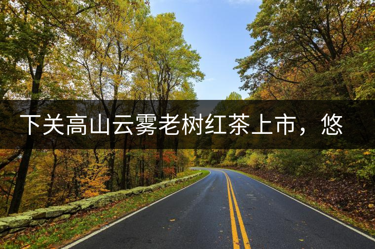 下關(guān)高山云霧老樹紅茶上市，悠悠春茶香