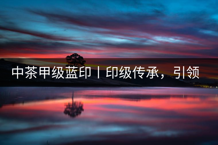 中茶甲級藍印丨印級傳承，引領風韻