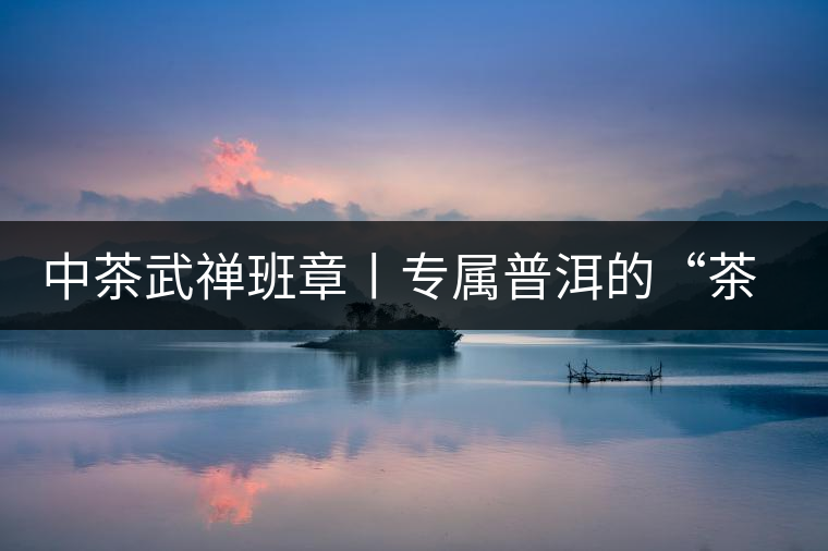 中茶武禪班章丨專屬普洱的“茶禪一味”