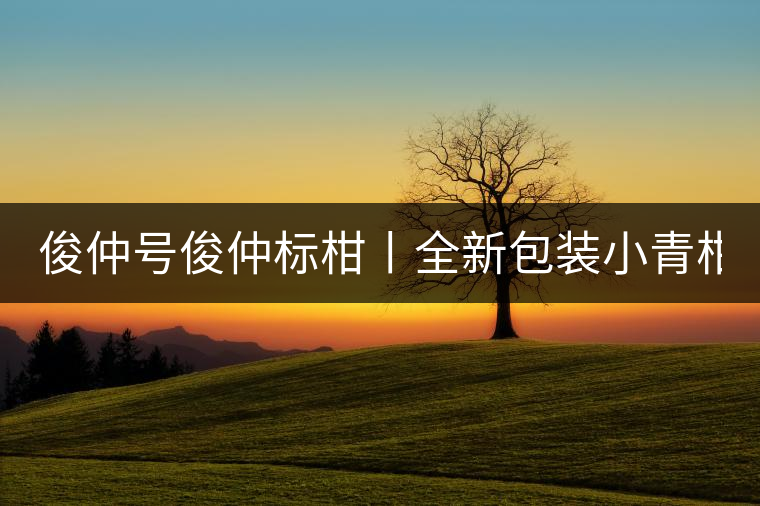 俊仲號俊仲標柑丨全新包裝小青柑震撼上市！
