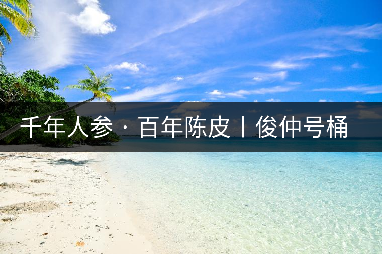 千年人參 · 百年陳皮丨俊仲號桶裝柑普茶豈止于大！