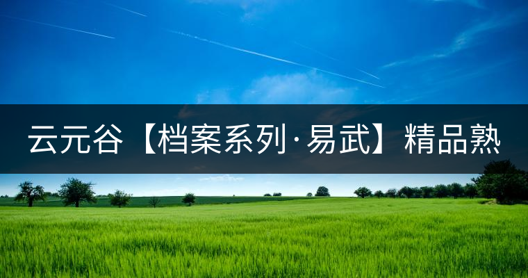 云元谷【檔案系列·易武】精品熟茶，精裝上市！