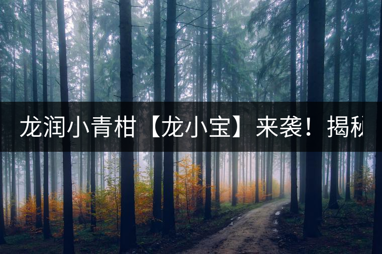 龍潤(rùn)小青柑【龍小寶】來(lái)襲！揭秘它的前半生！