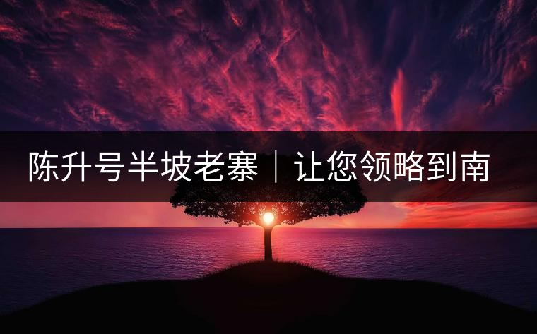 陳升號半坡老寨｜讓您領略到南糯山大樹茶口感的地道！